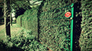 %_tempFileNameHintergrund%